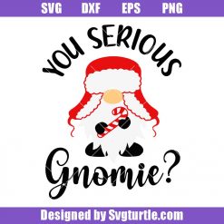 You Serious Gnome Svg, Christmas Gnome Svg, Holiday Gnomie Svg