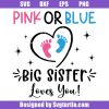 Pink or Blue Big Sister Loves You Svg
