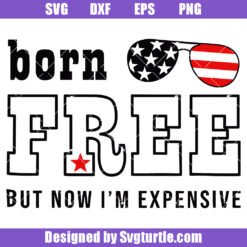 Born Free Now I'm Expensive Svg, Usa Flag Svg, Sarcastic Svg