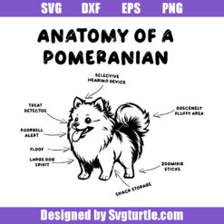 Anatomy Of A Pomeranian Svg