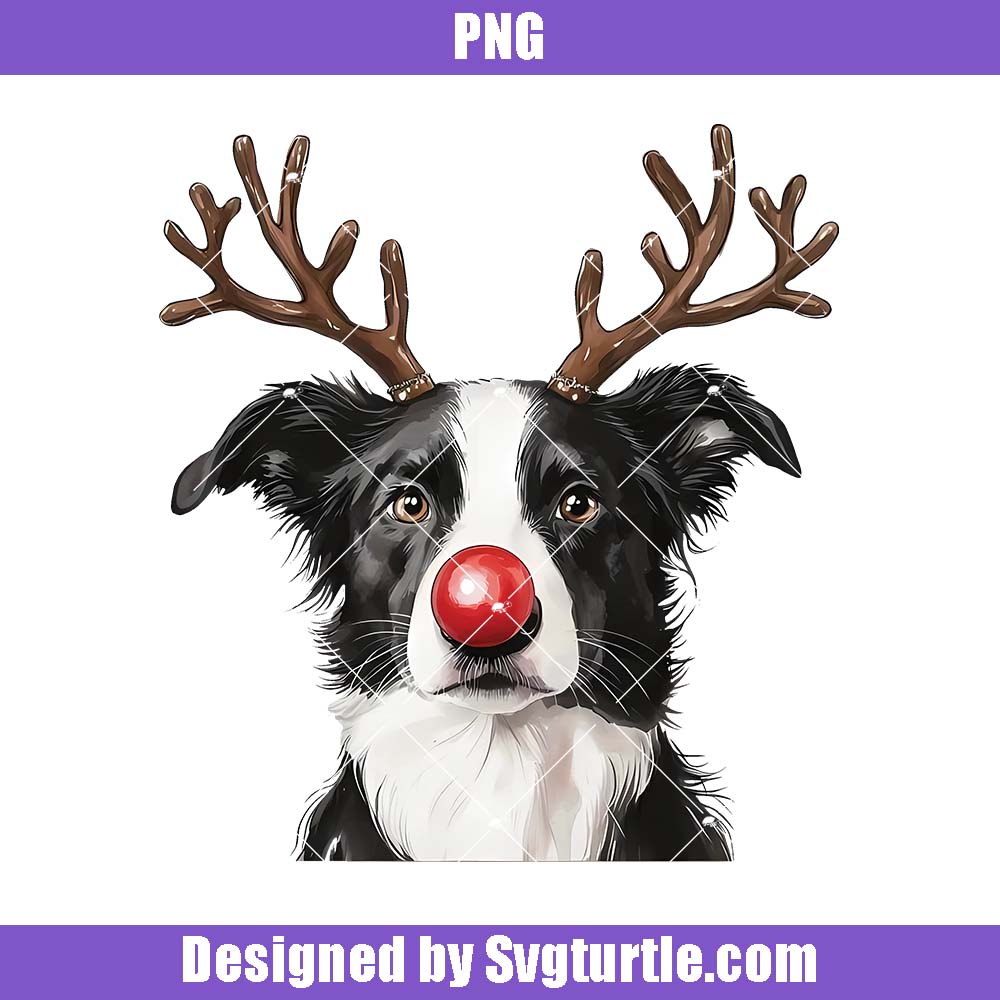 Christmas Border Collie Png, Watercolor Border Collie Dog Png Christmas Border Collie Png, Watercolor Border Collie Dog Png